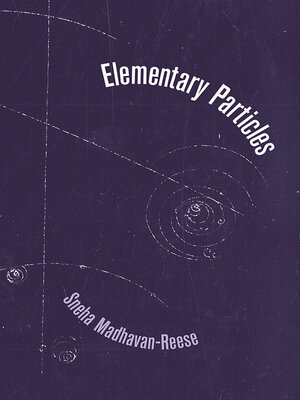 Elementary Particles - ebook